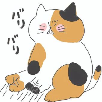怒って爪研ぎする三毛猫ちゃん 怒って爪研ぎする三毛猫ちゃん かわいい,怒る,怒り,不機嫌,イライラ,ストレス,ストレス発散,爪研ぎ,引っ掻く,ねこのイラスト素材