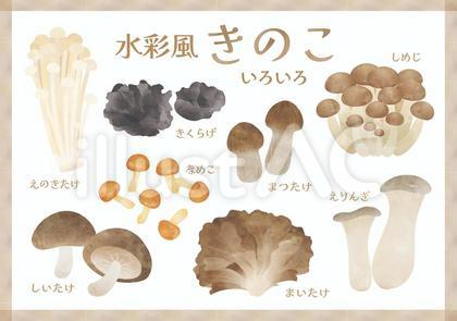 水彩風 きのこセット
