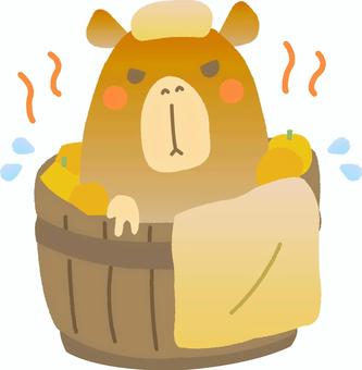 カピバラが柚子湯に入っているイラスト 冬至,12月,冬,カピバラ,柚子湯,かわいい,ゆるい,キャラクター,手描き,イラストのイラスト素材