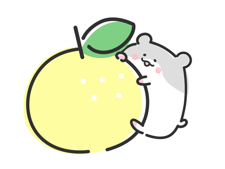 ゆずをハグするかわいいハムスター ゆずをハグするかわいいハムスター 冬至,ゆず,柚子,ハムスター,かわいい,動物,ほっこり,癒し,ほんわか,冬のイラスト素材
