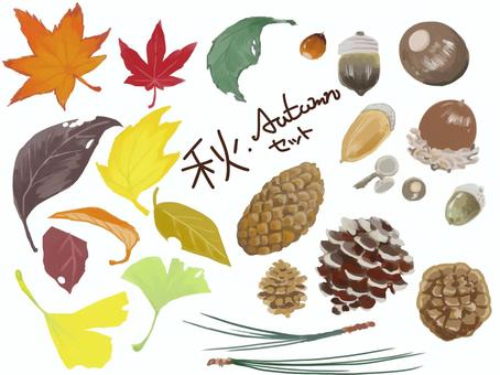 秋　素材　セット 秋,セット,オータム,紅葉,どんぐり,もみじ,松ぼっくり,松の葉,いちょう,和風のイラスト素材