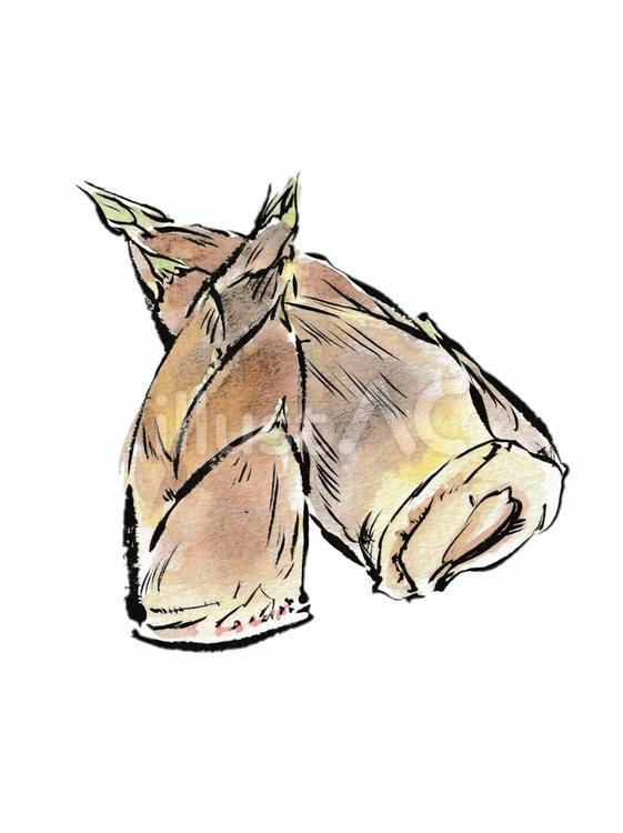 春の味覚　絵手紙風の筍 筍,食べ物,春のイラスト素材