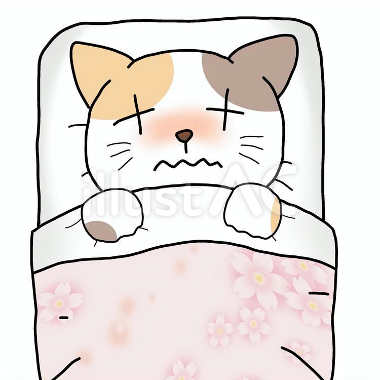 風邪で寝込んでいる猫さん 猫,子猫,動物のイラスト素材