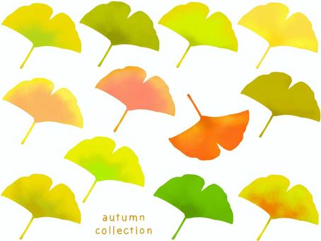 Ginkgo leaf set, JPG and PNG Ginkgo leaf set, ginkgo biloba, leaf, autumn, JPG and PNG