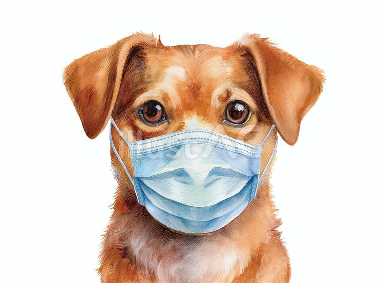 マスクを付けた犬 犬,動物,マスクのイラスト素材