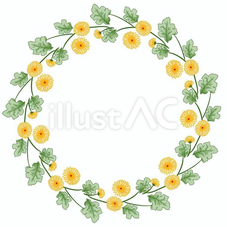 菊の花輪 菊,花輪,花のイラスト素材