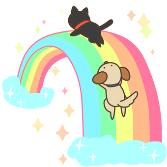 虹の橋 ペット,動物,虹,橋,犬,猫,ファンタジーのイラスト素材