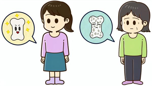 若い女性と高齢の女性の骨 骨粗鬆症,骨密度,骨代謝,女性,若い,お年寄り,高齢,骨,老化,女性ホルモンのイラスト素材