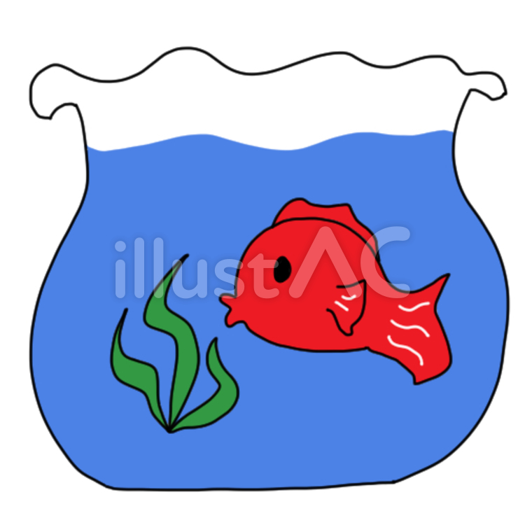金魚鉢 手書き,金魚,金魚鉢のイラスト素材