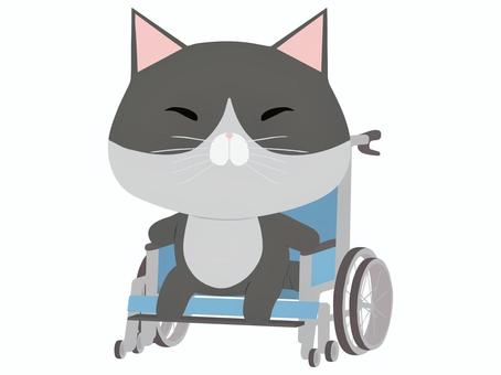 車椅子_猫 車椅子,猫,はちわれ,動物,かわいい,医療のイラスト素材