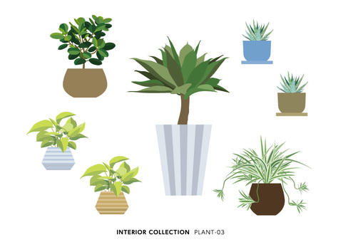 PLANT-03, JPG, PNG 和 AI PLANT-03, , JPG, PNG 和 AI