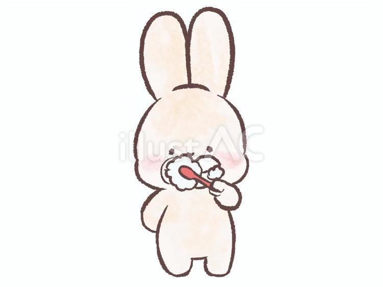 歯磨きをするうさぎ うさぎ,歯磨き,動物のイラスト素材