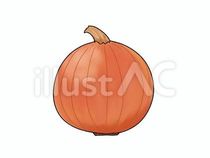 タマネギ 野菜
