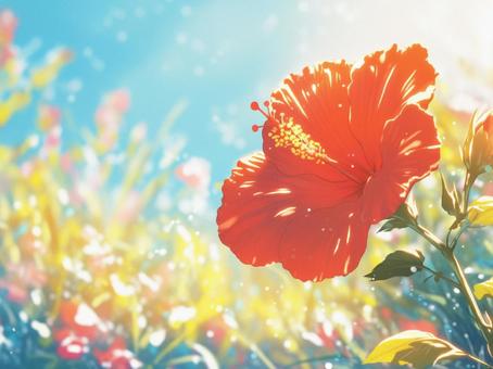 Hibiscus under the blue sky, JPG Hibiscus under the blue sky, hibiscus, sunny, blue sky, JPG