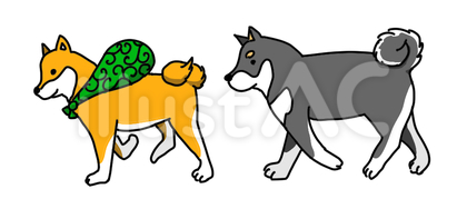 お出かけ柴犬