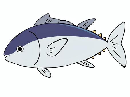 マグロ 鮪,魚,主線あり,ゆるかわ,かわいい,アニマル,手描き,カット,デフォルメ,ワンポイントのイラスト素材