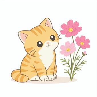 コスモスを見つめる茶トラ猫のイラスト 猫,ネコ,ねこ,茶トラ猫,コスモス,秋,手書き風,動物,花,植物のイラスト素材