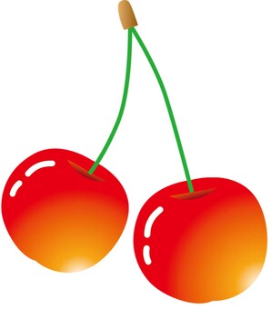 果物_さくらんぼ さくらんぼ,果物,農園,畑,農家,農業のイラスト素材