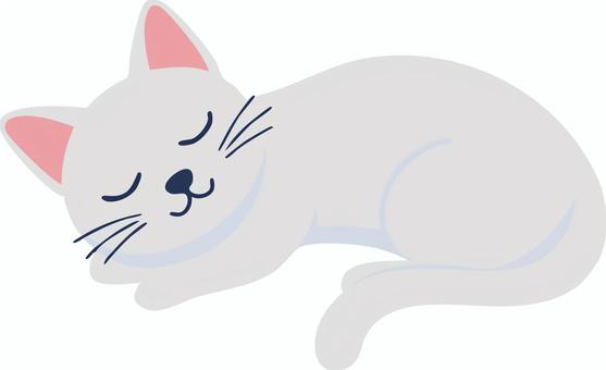 【どうぶつ】すやすや眠る白猫