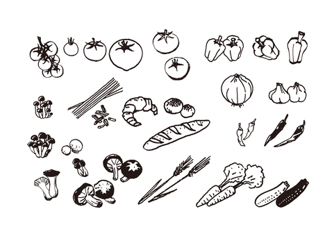 食材墨絵1 食材,トマト,ピーマン,茸,きのこ,しめじ,しいたけ,麦,マッシュルーム,オニオンのイラスト素材