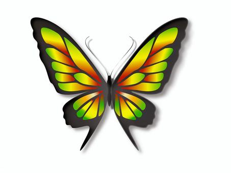 燃ゆる蝶 蝶,アゲハ,飛ぶ,空,春,昆虫,昆虫標本,羽根,鱗粉,黄色のイラスト素材