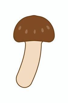 松茸 松茸,食材,食品,きのこ,特産,名産,秋,旬,椎茸,鍋のイラスト素材