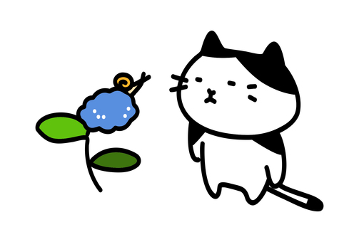 snail cat, , JPG and PNG