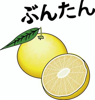 ぶんたん ぶんたん,ザボン,柑橘類,果物,フルーツ,カット,新鮮,ひらがな,線画のイラスト素材