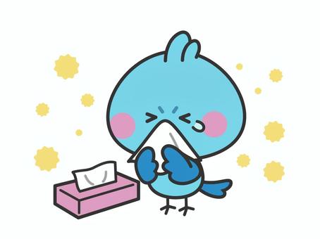 Illustration, bird, to blow your nose, pollen, 