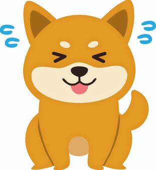 用を足す柴犬（茶） 柴犬,犬,保護犬,ペット,動物,生き物のイラスト素材