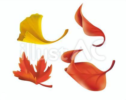 紅葉 いちょう 紅葉 落ち葉