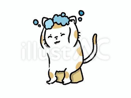シャンプーねこさん