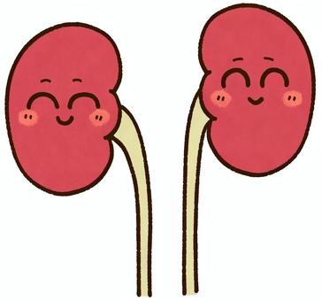 ニコニコした腎臓 腎臓,尿管,臓器,内臓,人体,健康,医療,医学,解剖,内科のイラスト素材