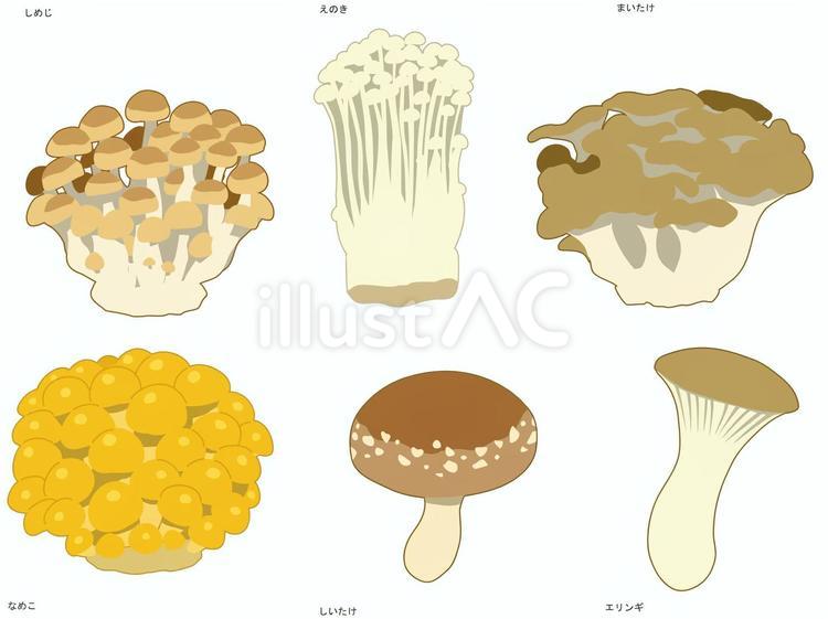 きのこ6種 食べ物,きのこ,しめじのイラスト素材