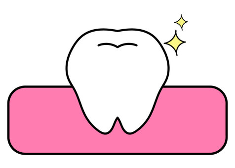歯と歯茎　キラキラ付き　溝付き 歯,奥歯,臼歯,乳歯,永久歯,歯医者,白い歯,キラキラ,黄色,輝きのイラスト素材