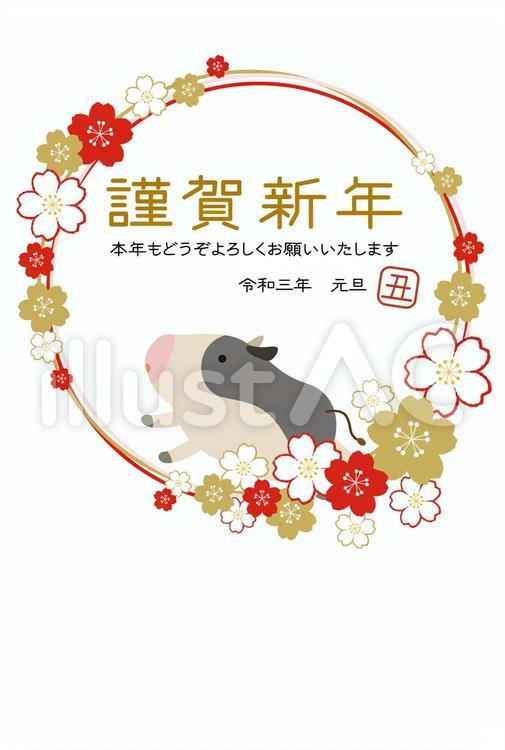 さくらと丑の年賀状01【PNG文字ナシ】 桜,丑,丑年のイラスト素材