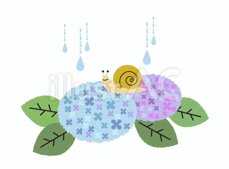梅雨のイラスト アジサイとかたつむりイラスト No 無料イラストなら イラストac