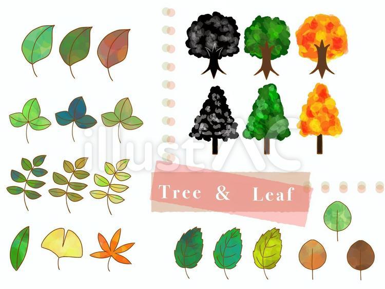 木と葉っぱ 木,葉,植物のイラスト素材
