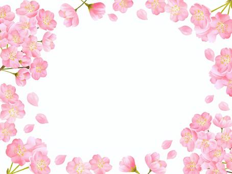 Cherry blossom frame material 01, , JPG and PNG