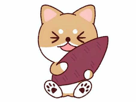 さつまいもを持つ柴犬 犬,柴犬,豆柴,赤柴,動物,ペット,かわいい,手描き風,キャラクター,カット素材のイラスト素材