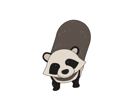 タヌキ（見上げる） タヌキ,動物,日本,夜行性,見上げる,俯瞰のイラスト素材