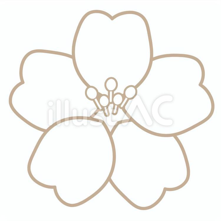 桜の線画 桜,春,花のイラスト素材