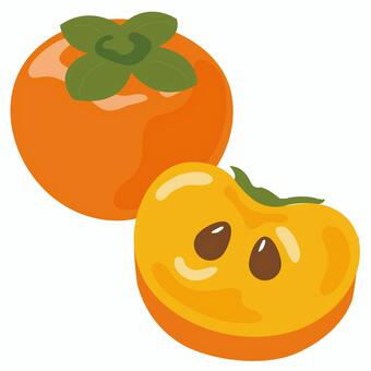 秋の味覚 柿のカットイラスト 柿,果物,フルーツ,秋の味覚,旬,食べ物,食材,断面,種,秋のイラスト素材