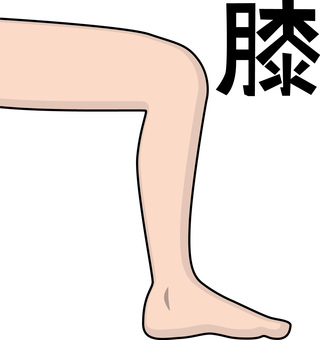 膝　 膝,漢字,足,関節,体,パーツ,シンプル,線画のイラスト素材