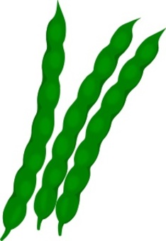 綠豆, JPG 和 PNG 綠豆, 綠豆, 夏天, 蔬菜, JPG 和 PNG