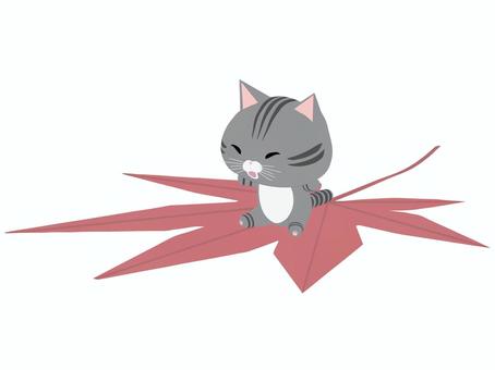 紅葉に乗る笑顔のさばとら猫 紅葉,猫,さばとら,笑顔,動物,かわいい,秋,植物のイラスト素材