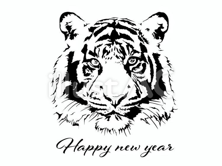 22 寅年 年賀状 リアルな寅 イラスト No 無料イラストなら イラストac