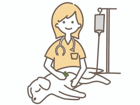 皮下点滴をする女性獣医師 皮下点滴をする女性獣医師 犬,ペット,女性,獣医師,獣医,動物病院,動物,点滴のイラスト素材