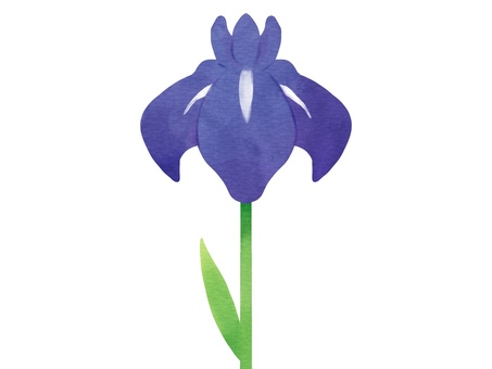 Illustration, rustling butterfly, flower, watercolor style, 