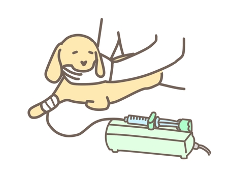 静脈点滴をするダックスフンド 動物,ペット,犬,猫,獣医,獣医師,治療,動物病院,かわいい,静脈点滴のイラスト素材